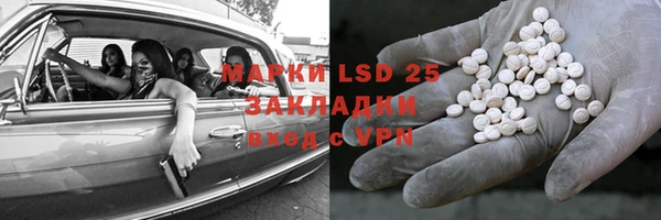 ГАЛЛЮЦИНОГЕННЫЕ ГРИБЫ Алзамай