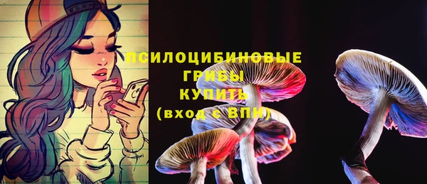 гидра Алексин