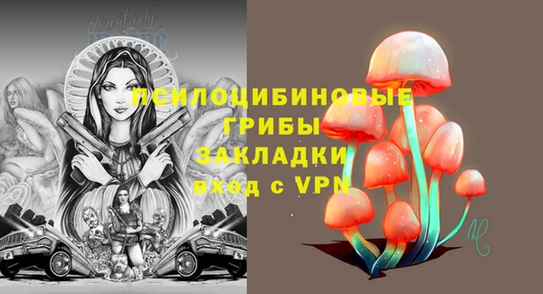 гашиш Заводоуковск