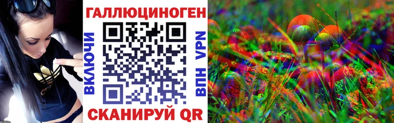 Галлюциногенные грибы Psilocybine cubensis  Лодейное Поле 